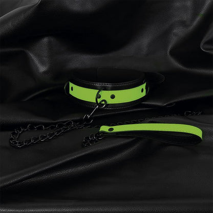 Glow in the Dark Collar with Leash