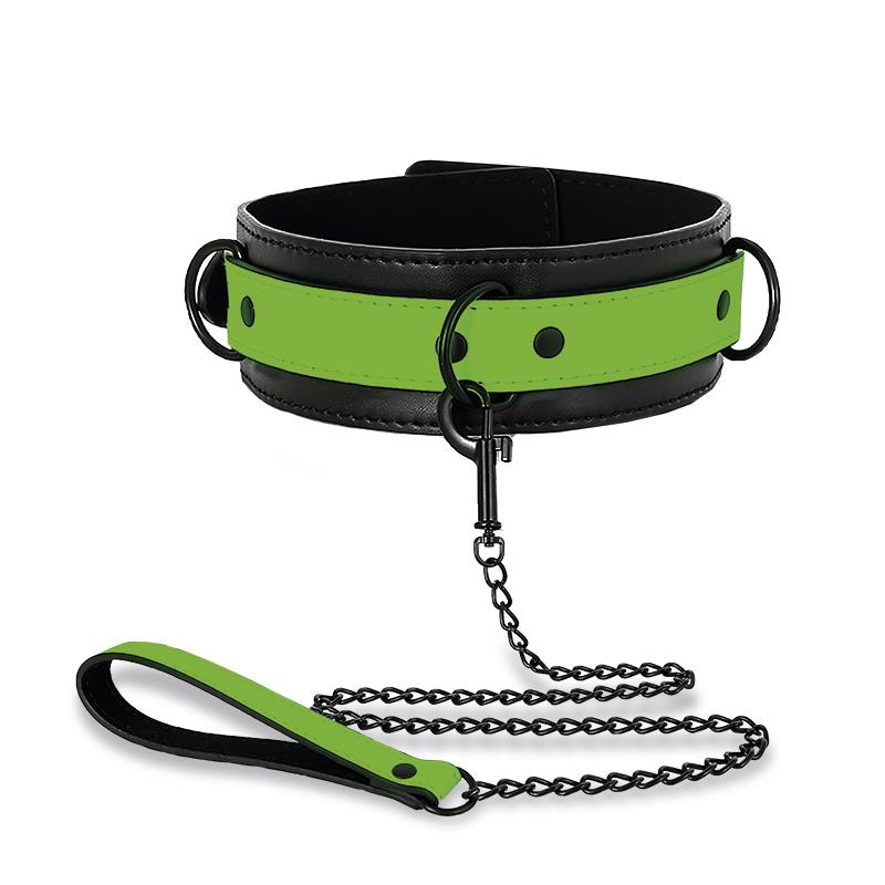 Glow in the Dark Collar with Leash