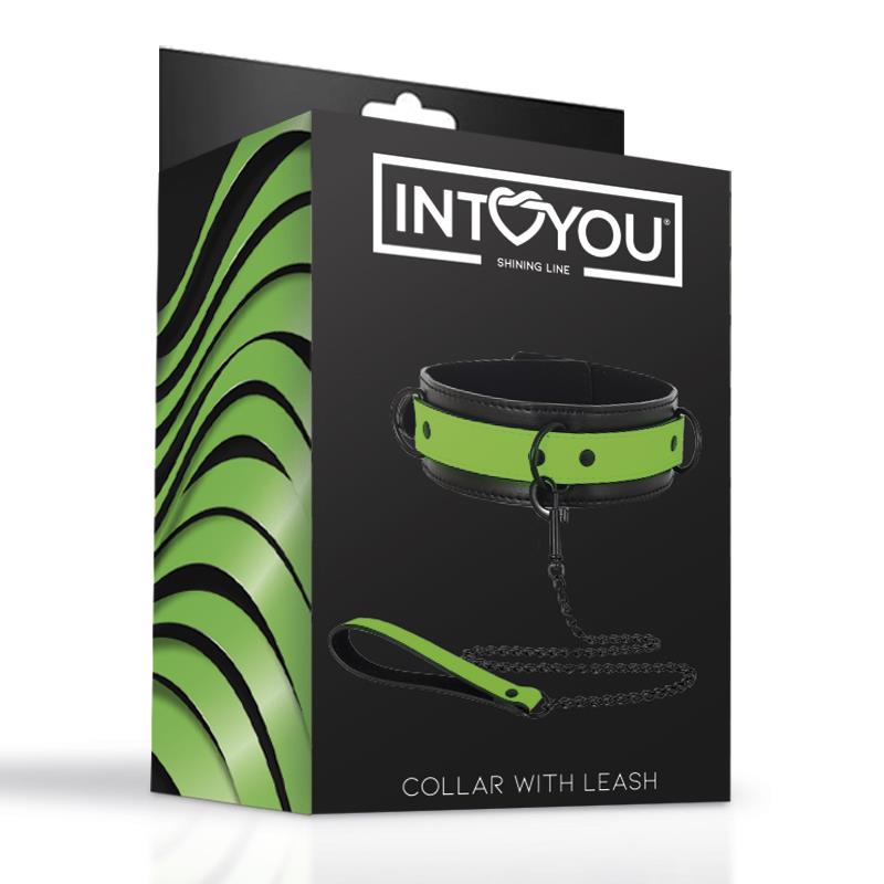 Glow in the Dark Collar with Leash