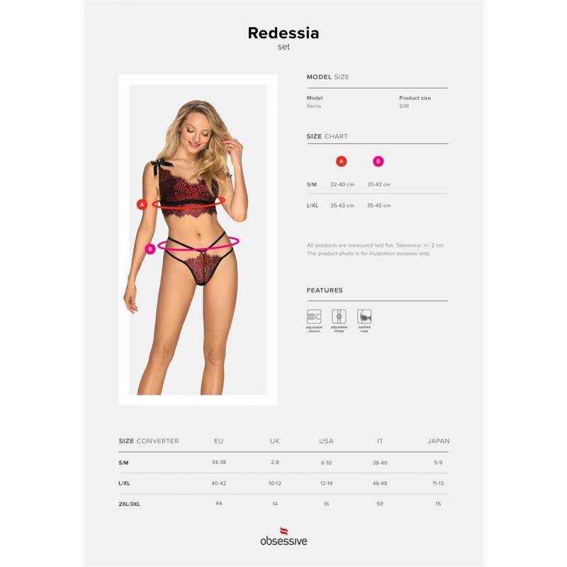 Redessia 2 Piece Lace Bra Set