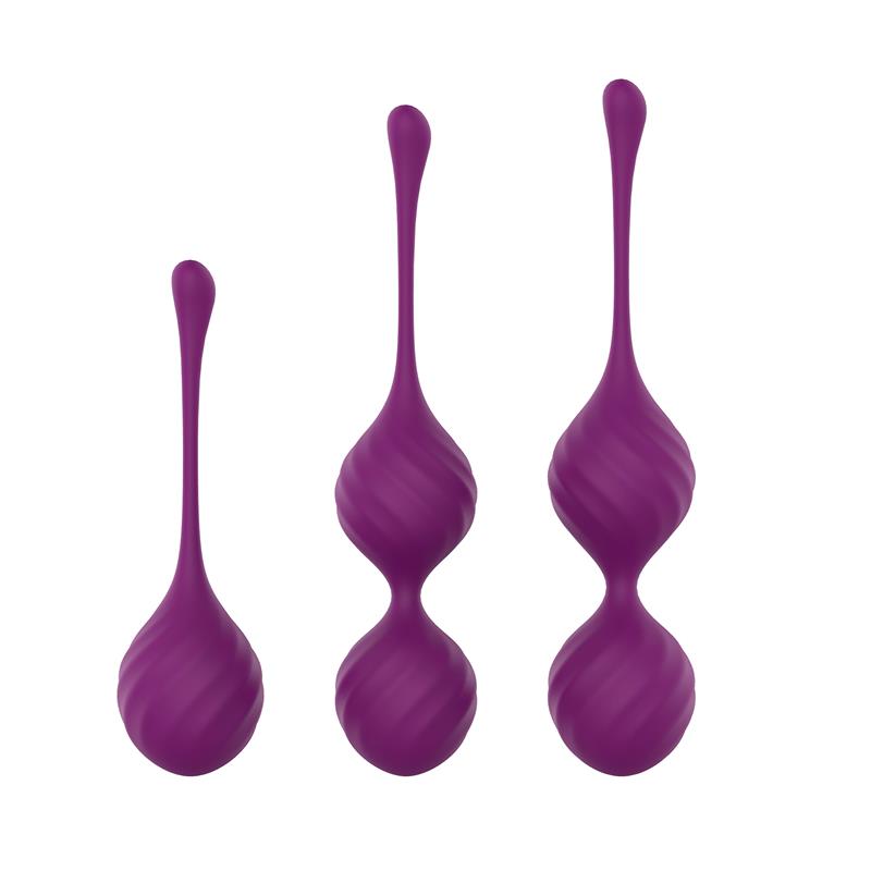 Taylor 20 Kegel Balls Silicone Purple