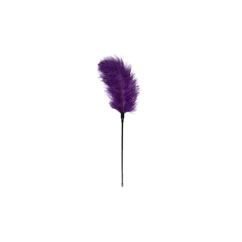 Purple Feather Tickler