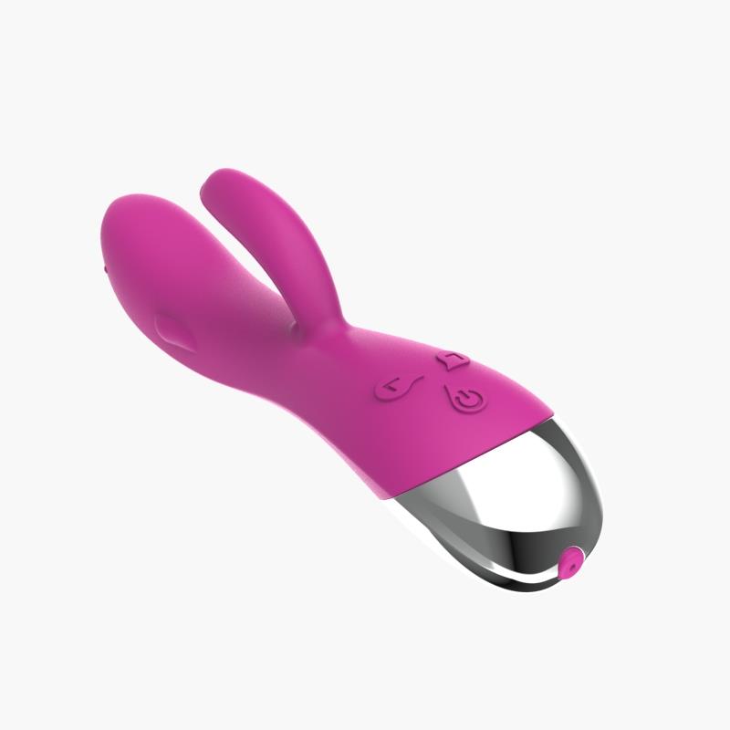 Dolphin Vibe 6 Vibration Functions USB Pink