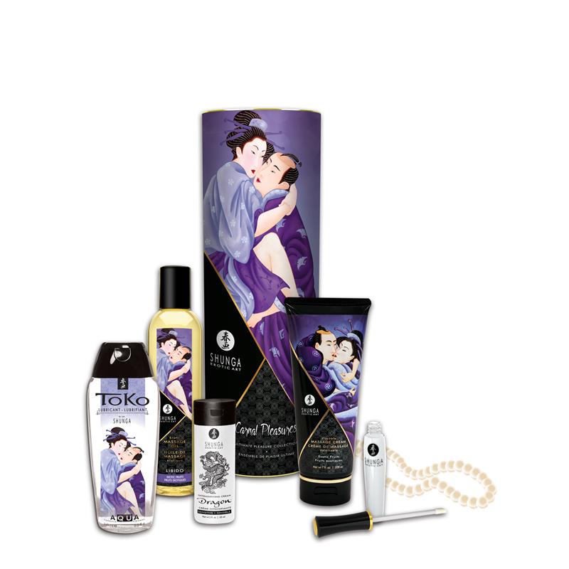 Shunga Carnal Desires Kit