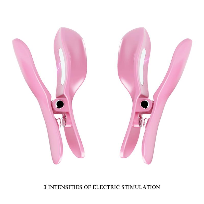 Surprise Box Vibrating Egg and Electric Shock Nipple Clamps Pink