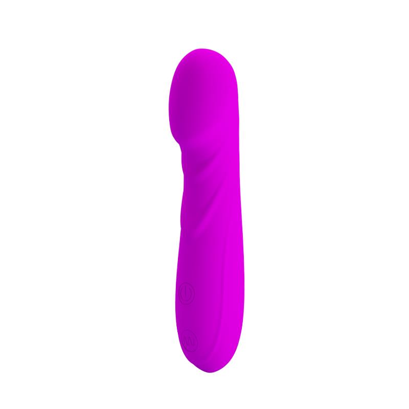 Pretty Love Mini Massager Reuben Purple