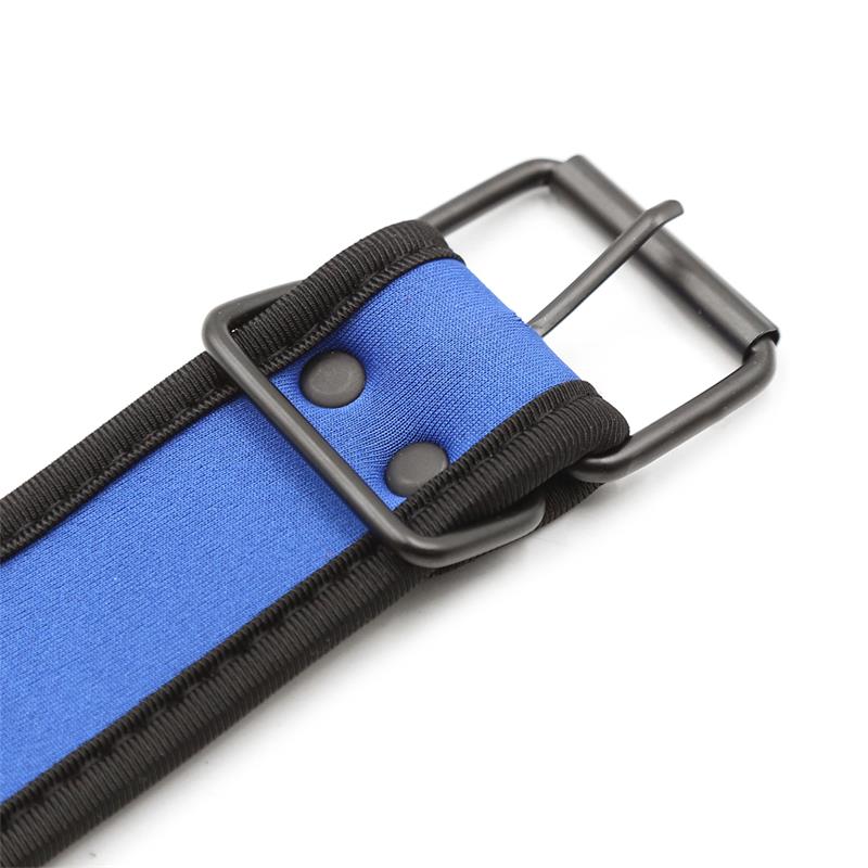 Neoprene Puppy Collar Adjustable Blue