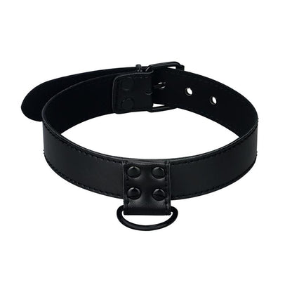 Collar with Leash Black Matt